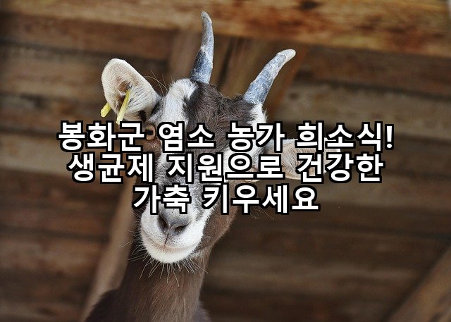 봉화군 염소 농가 희소식! 생균제 지원으로 건강한 가축 키우세요